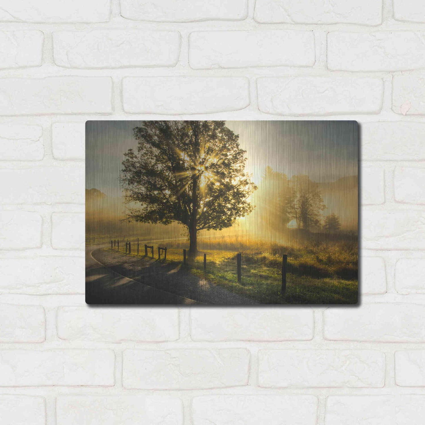 Luxe Metal Art 'Wake Up Call' by Danny Head, Metal Wall Art,16x12