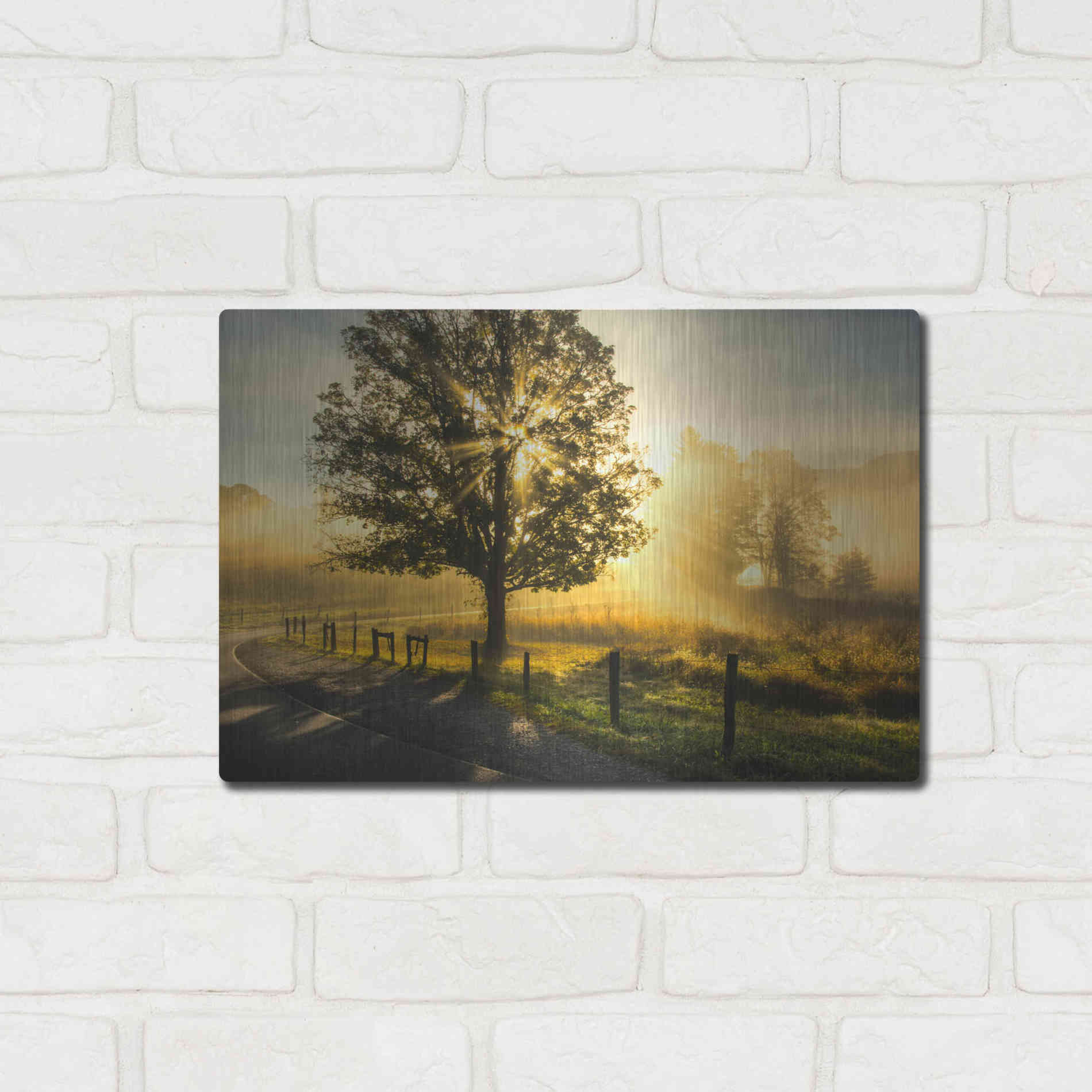 Luxe Metal Art 'Wake Up Call' by Danny Head, Metal Wall Art,16x12