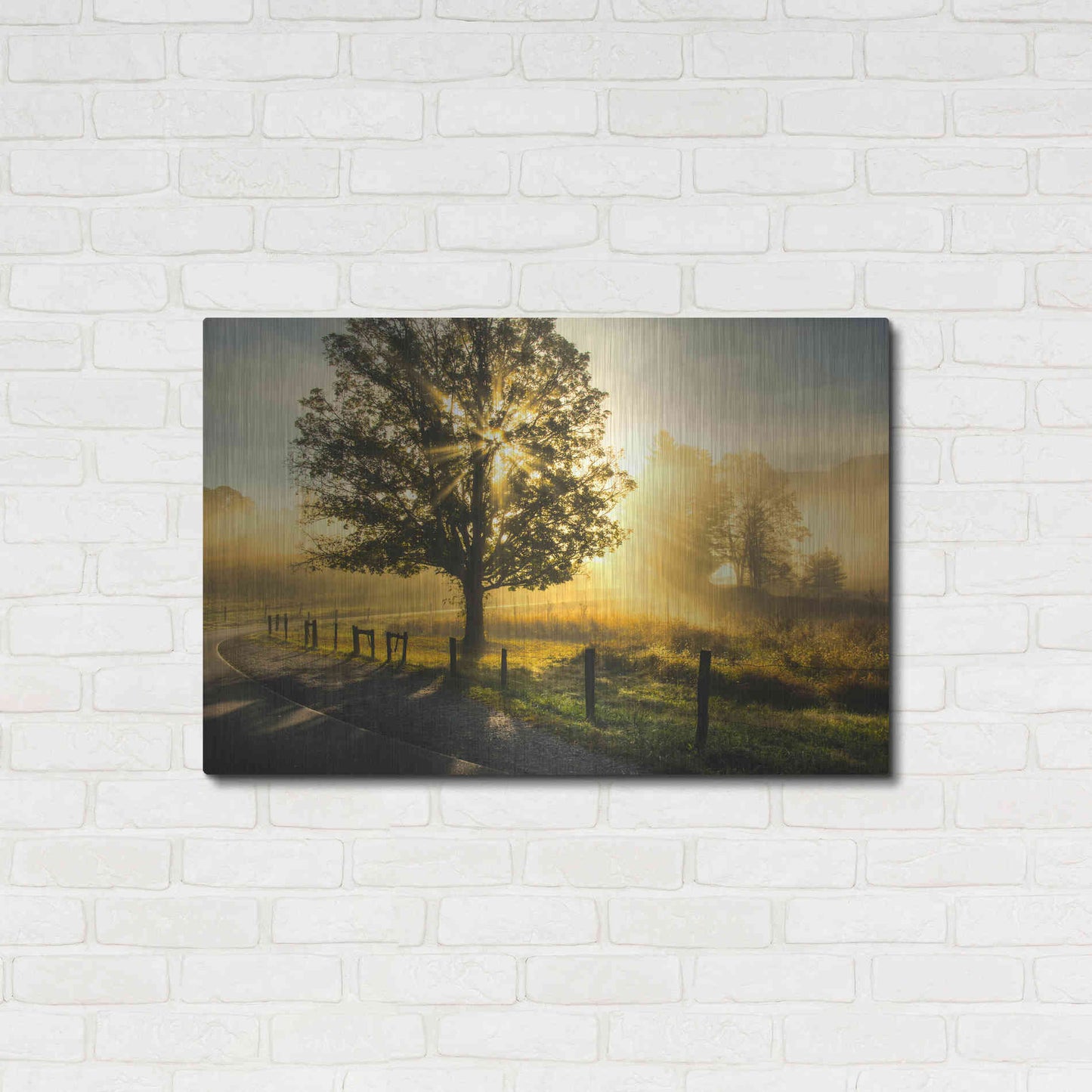 Luxe Metal Art 'Wake Up Call' by Danny Head, Metal Wall Art,36x24