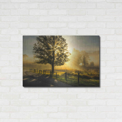 Luxe Metal Art 'Wake Up Call' by Danny Head, Metal Wall Art,36x24