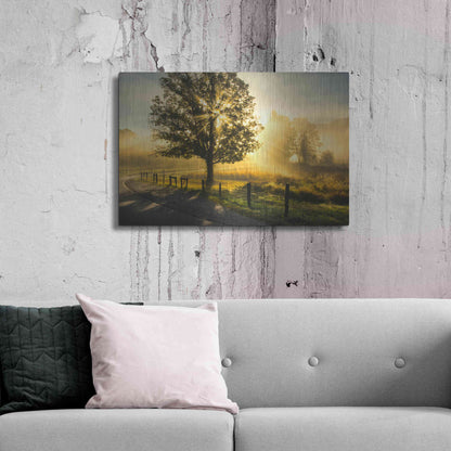 Luxe Metal Art 'Wake Up Call' by Danny Head, Metal Wall Art,36x24