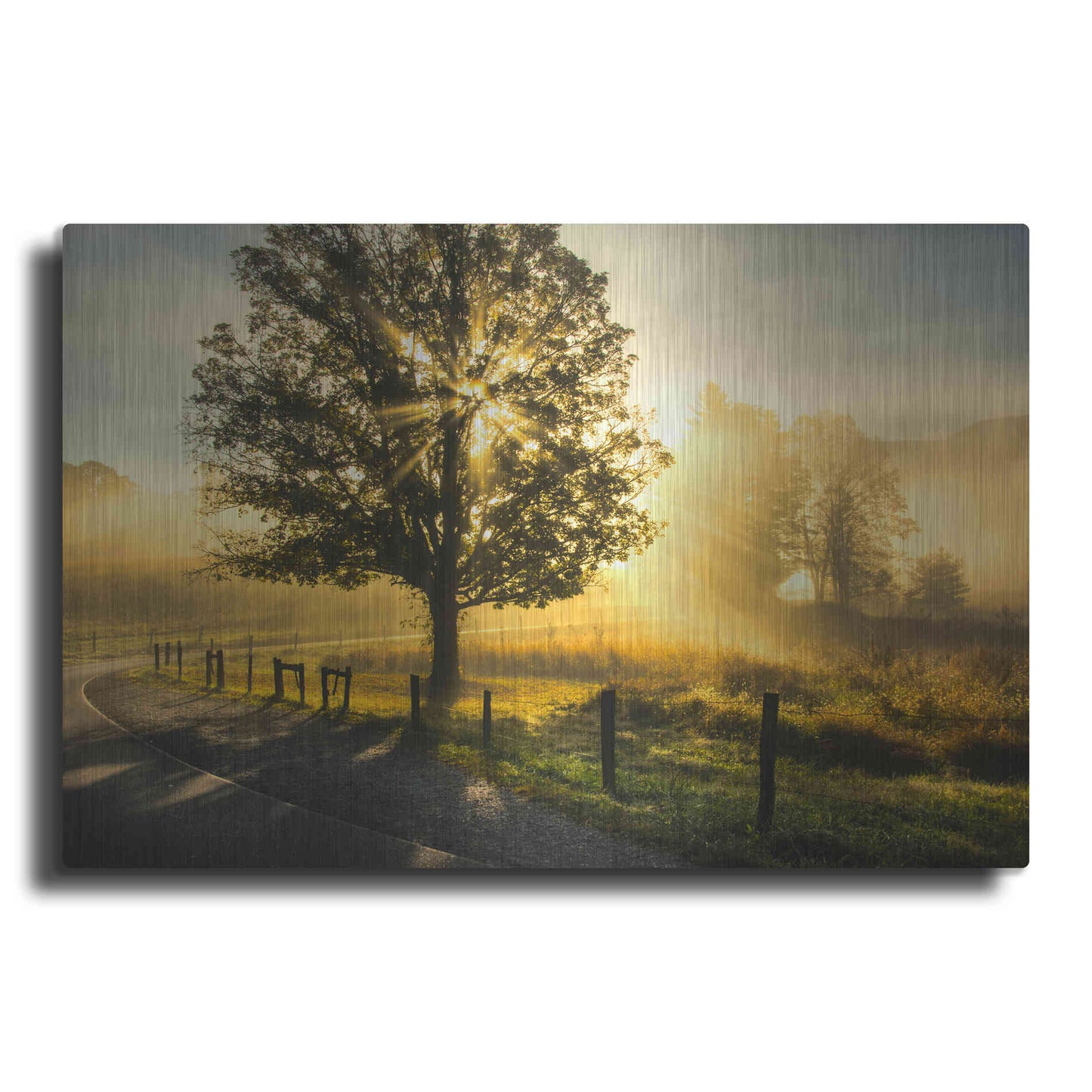 Luxe Metal Art 'Wake Up Call' by Danny Head, Metal Wall Art