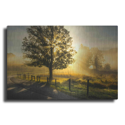 Luxe Metal Art 'Wake Up Call' by Danny Head, Metal Wall Art