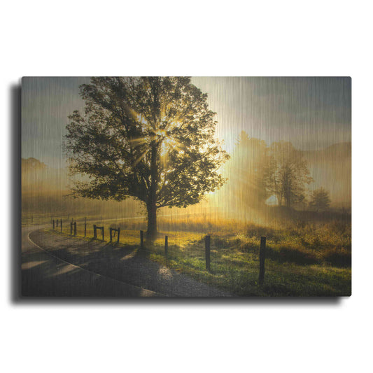 Luxe Metal Art 'Wake Up Call' by Danny Head, Metal Wall Art