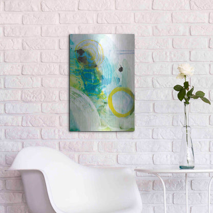 Luxe Metal Art 'Take Off II' by Jodi Fuchs, Metal Wall Art,16x24