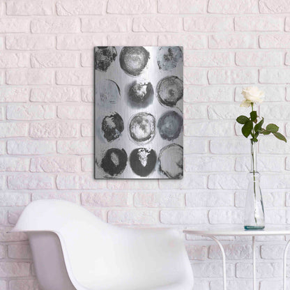 Luxe Metal Art 'BandW Imprint II' by Jodi Fuchs, Metal Wall Art,16x24