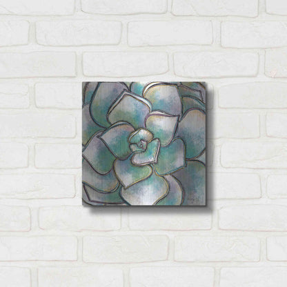 Luxe Metal Art 'Playful Succulent' by Heidi Kuntz, Metal Wall Art,12x12