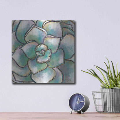 Luxe Metal Art 'Playful Succulent' by Heidi Kuntz, Metal Wall Art,12x12