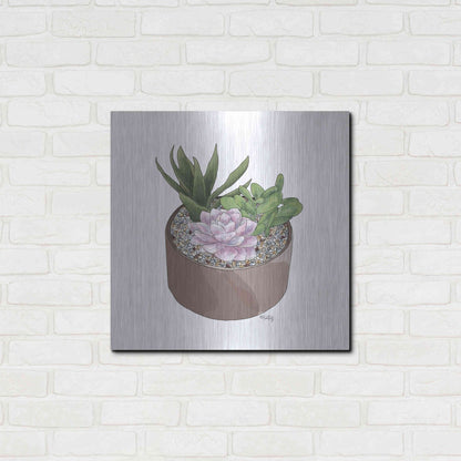 Luxe Metal Art 'Succulent Planter I' by Heidi Kuntz, Metal Wall Art,24x24