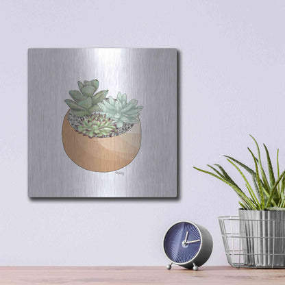 Luxe Metal Art 'Succulent Planter II' by Heidi Kuntz, Metal Wall Art,12x12