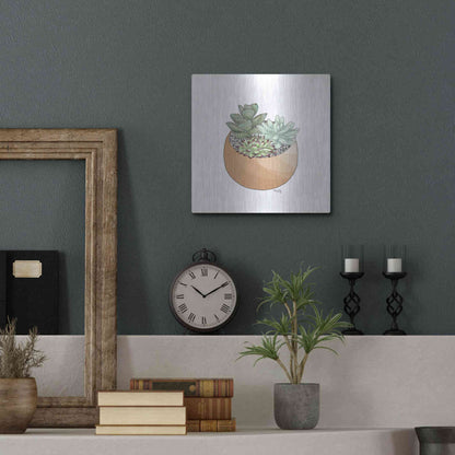 Luxe Metal Art 'Succulent Planter II' by Heidi Kuntz, Metal Wall Art,12x12