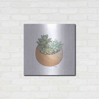 Luxe Metal Art 'Succulent Planter II' by Heidi Kuntz, Metal Wall Art,24x24