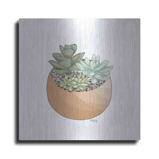 Luxe Metal Art 'Succulent Planter II' by Heidi Kuntz, Metal Wall Art