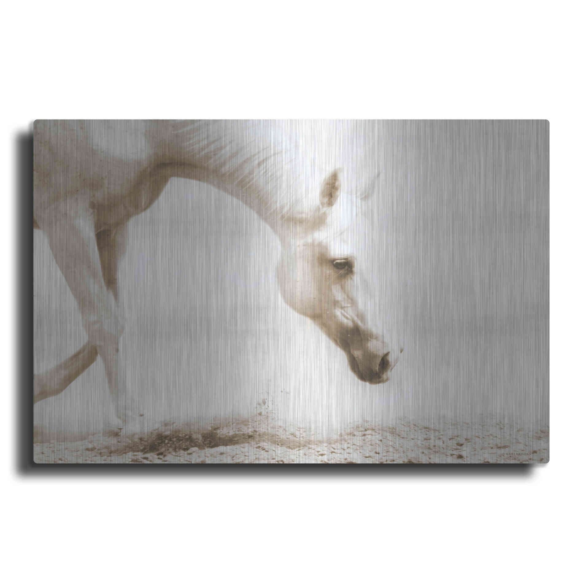 Luxe Metal Art 'Trail Horse Sepia' by Kari Brooks, Metal Wall Art