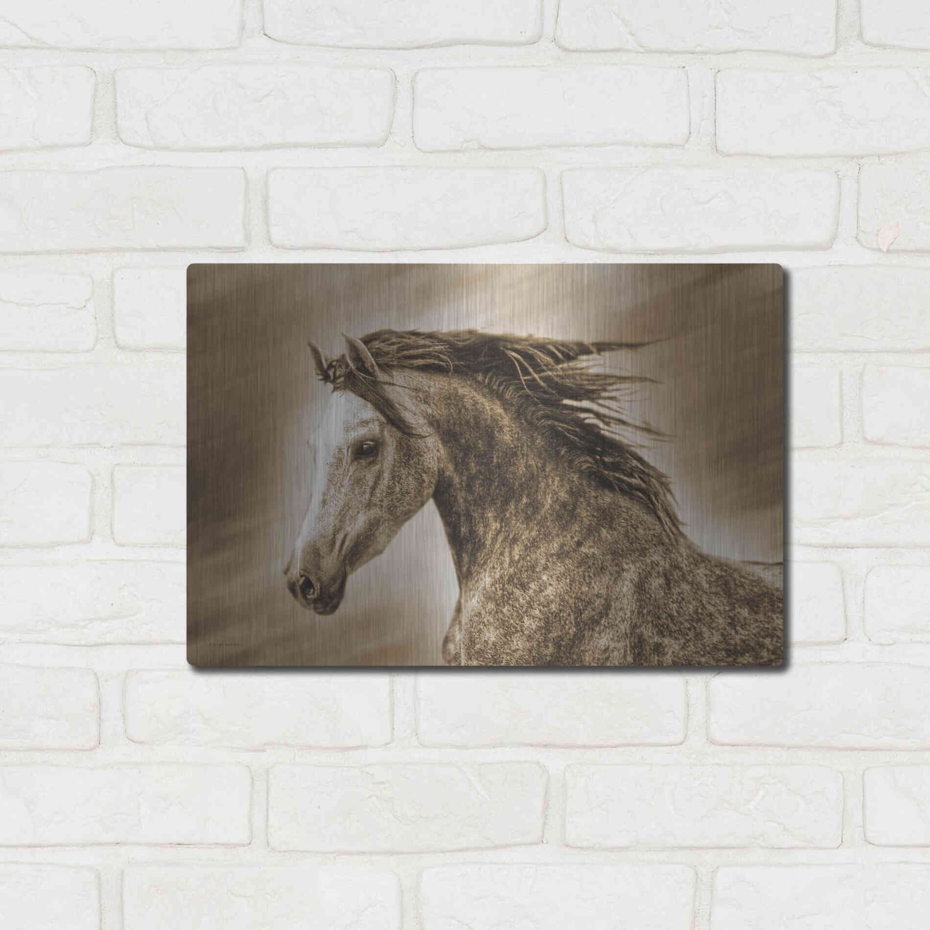 Luxe Metal Art 'Addie Gray' by Kari Brooks, Metal Wall Art,16x12