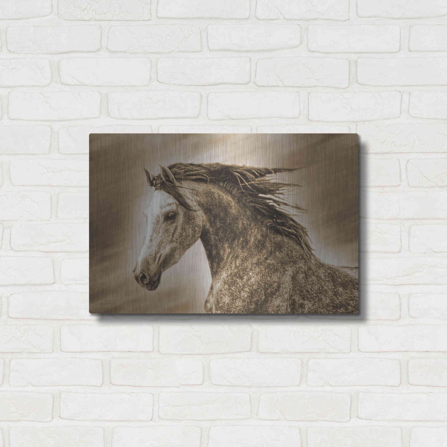 Luxe Metal Art 'Addie Gray' by Kari Brooks, Metal Wall Art,24x16