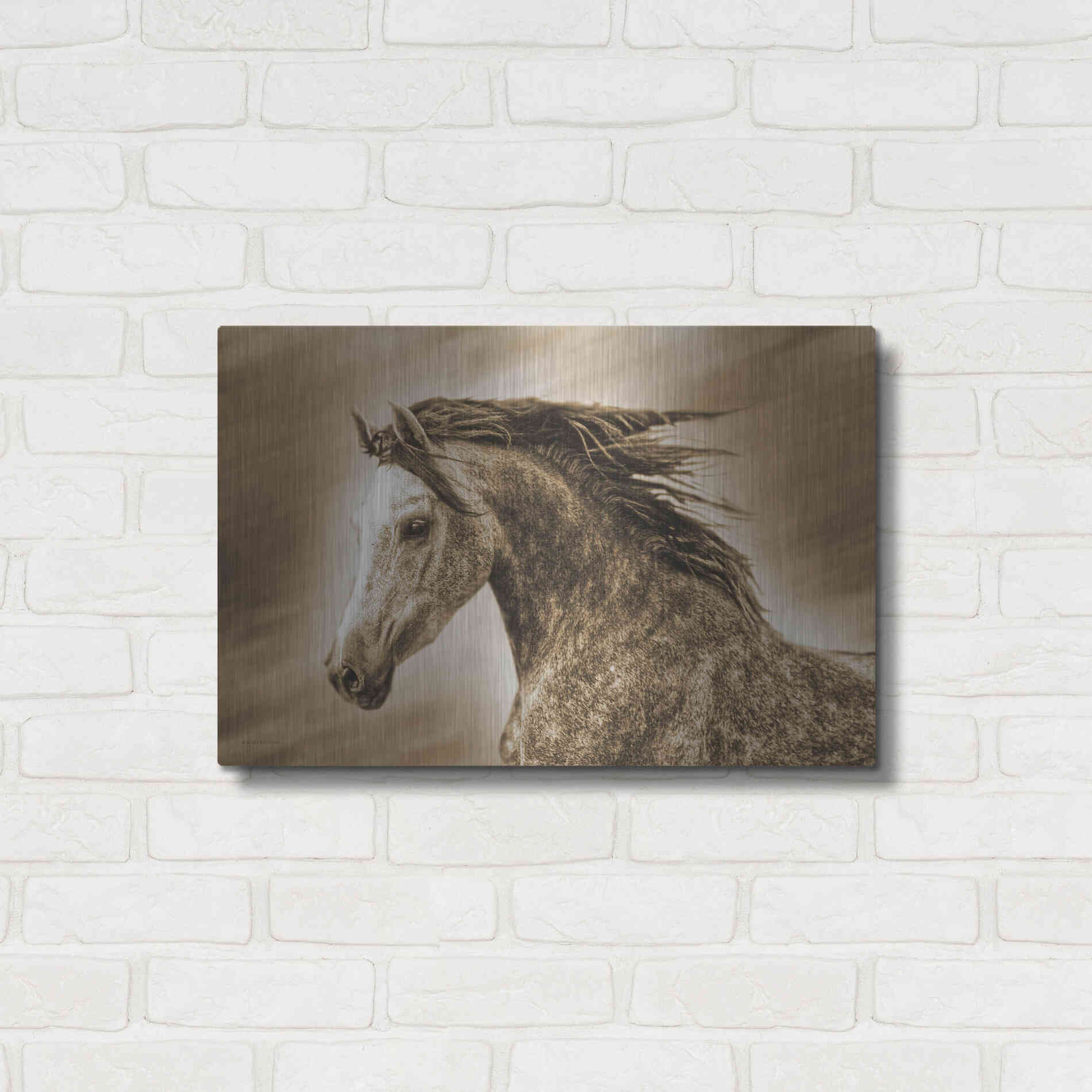 Luxe Metal Art 'Addie Gray' by Kari Brooks, Metal Wall Art,24x16