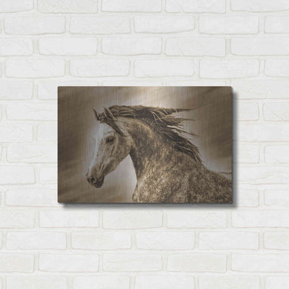 Luxe Metal Art 'Addie Gray' by Kari Brooks, Metal Wall Art,24x16