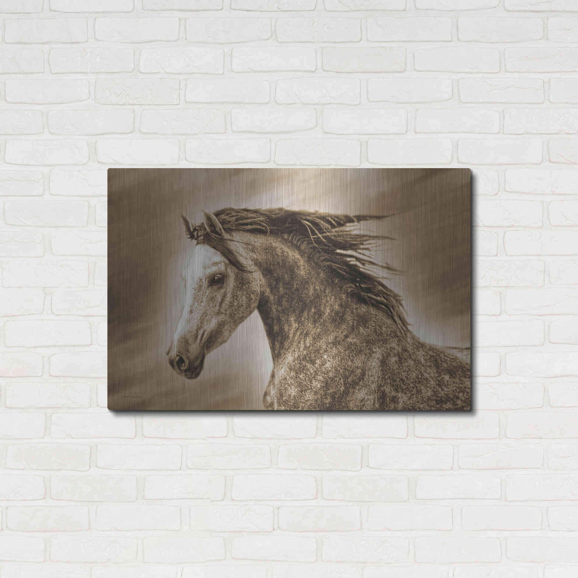 Luxe Metal Art 'Addie Gray' by Kari Brooks, Metal Wall Art,36x24