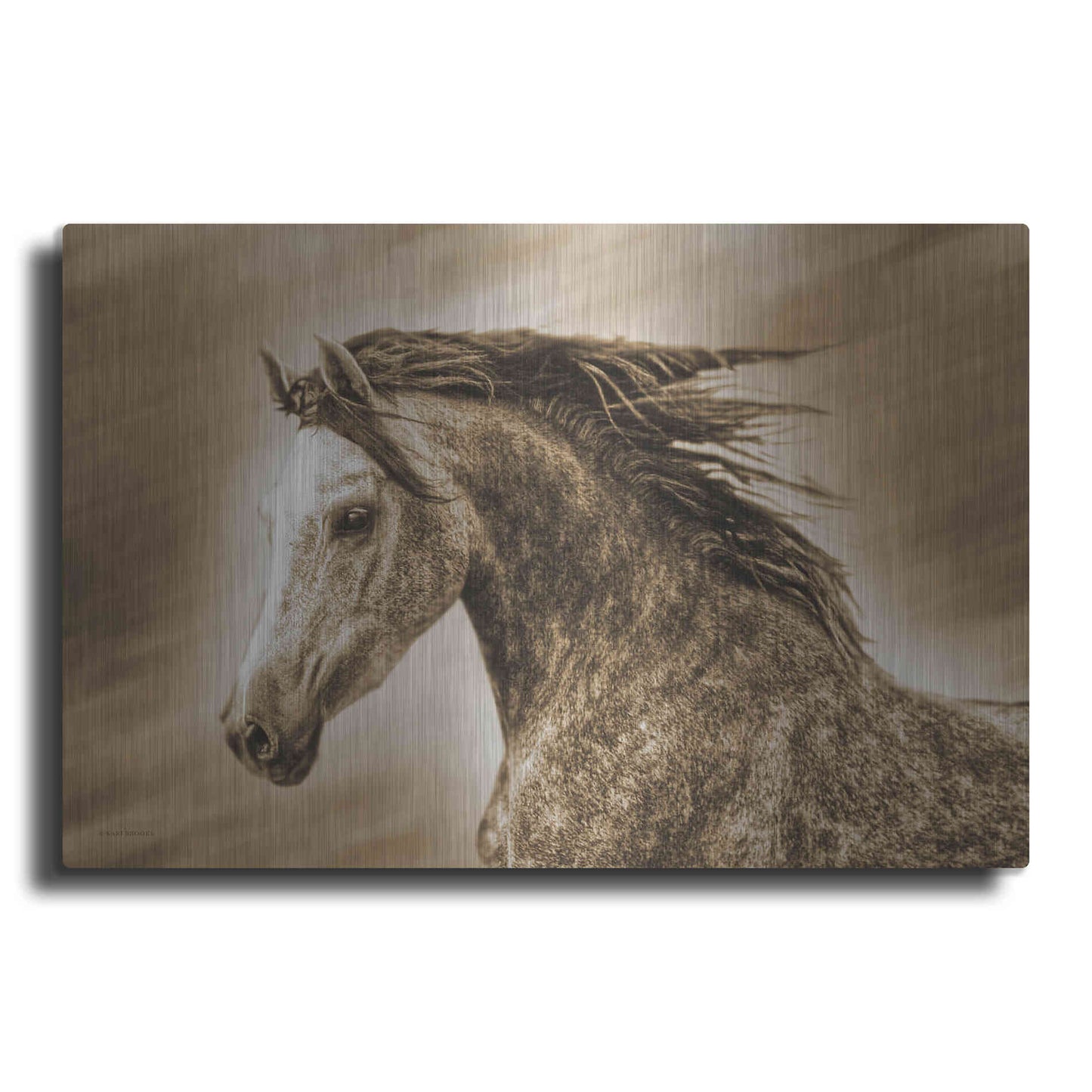Luxe Metal Art 'Addie Gray' by Kari Brooks, Metal Wall Art
