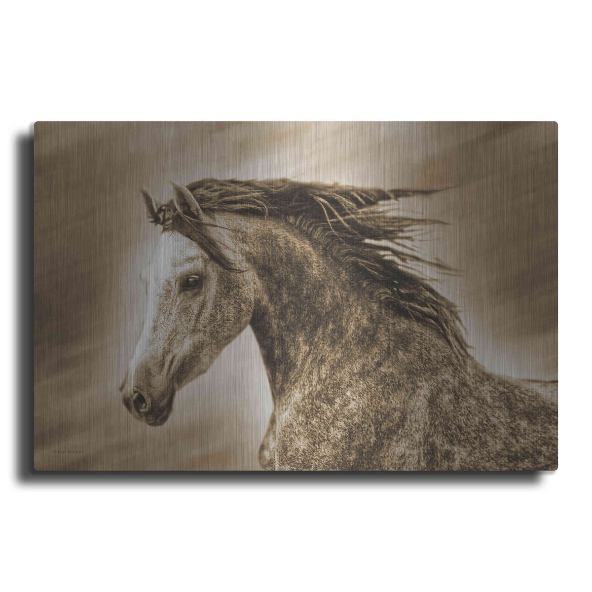 Luxe Metal Art 'Addie Gray' by Kari Brooks, Metal Wall Art