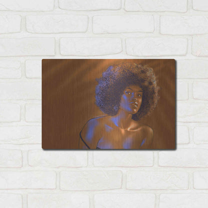 Luxe Metal Art 'Tanarelle' by Katalina, Metal Wall Art,16x12