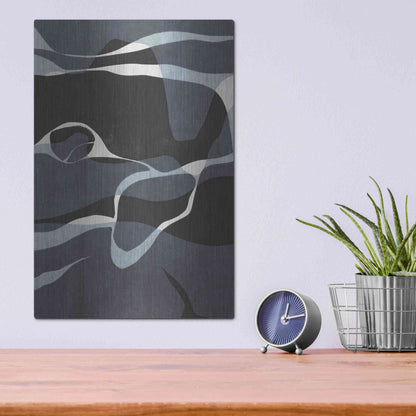 Luxe Metal Art 'Naiad I' by Rob Delamater, Metal Wall Art,12x16