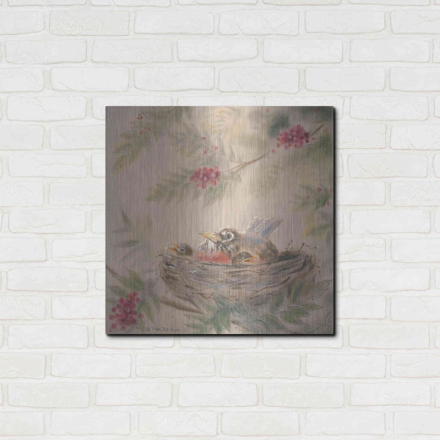 Luxe Metal Art 'Fledglings' by Pam Britton, Metal Wall Art,24x24