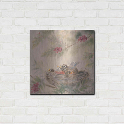 Luxe Metal Art 'Fledglings' by Pam Britton, Metal Wall Art,24x24