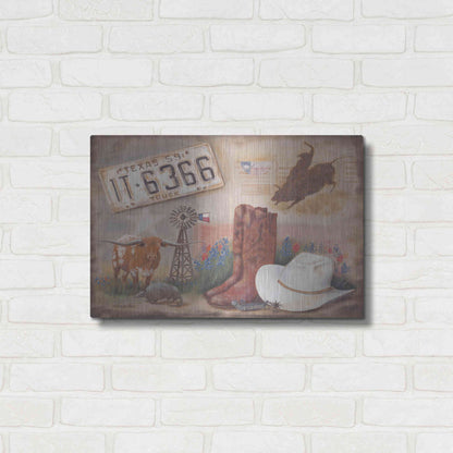 Luxe Metal Art 'Texas' by Pam Britton, Metal Wall Art,24x16