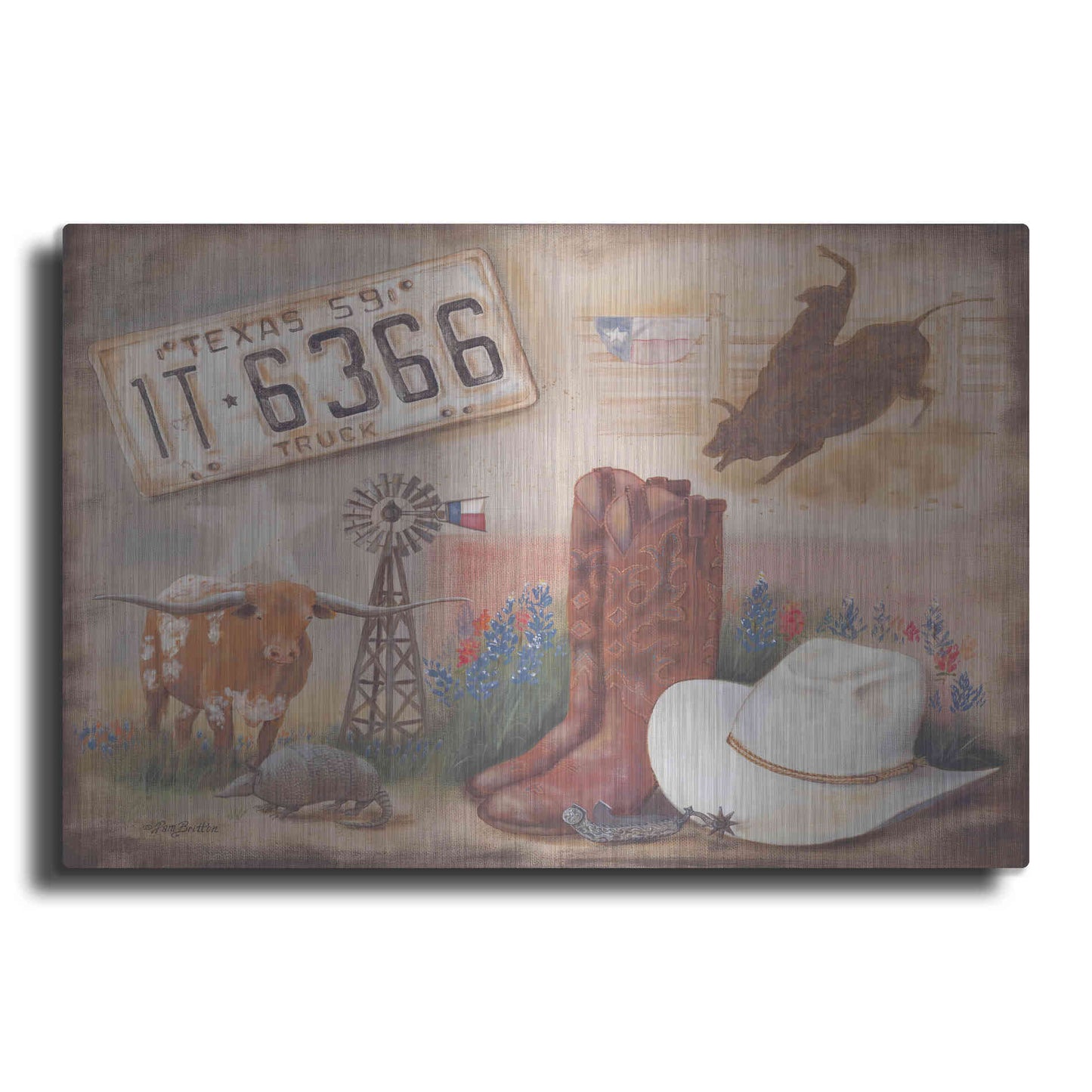 Luxe Metal Art 'Texas' by Pam Britton, Metal Wall Art