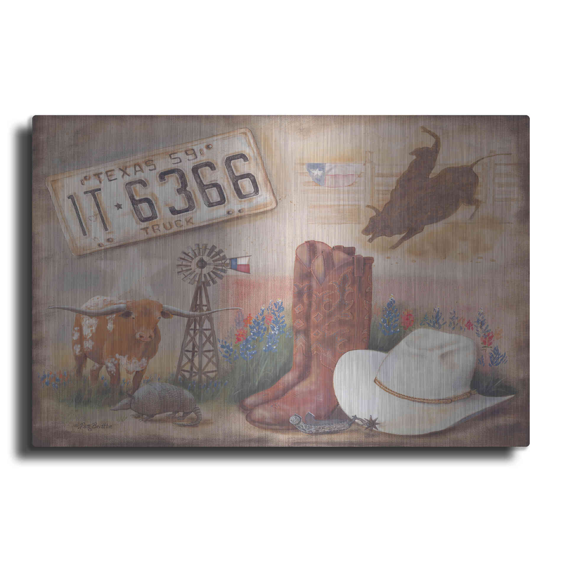 Luxe Metal Art 'Texas' by Pam Britton, Metal Wall Art