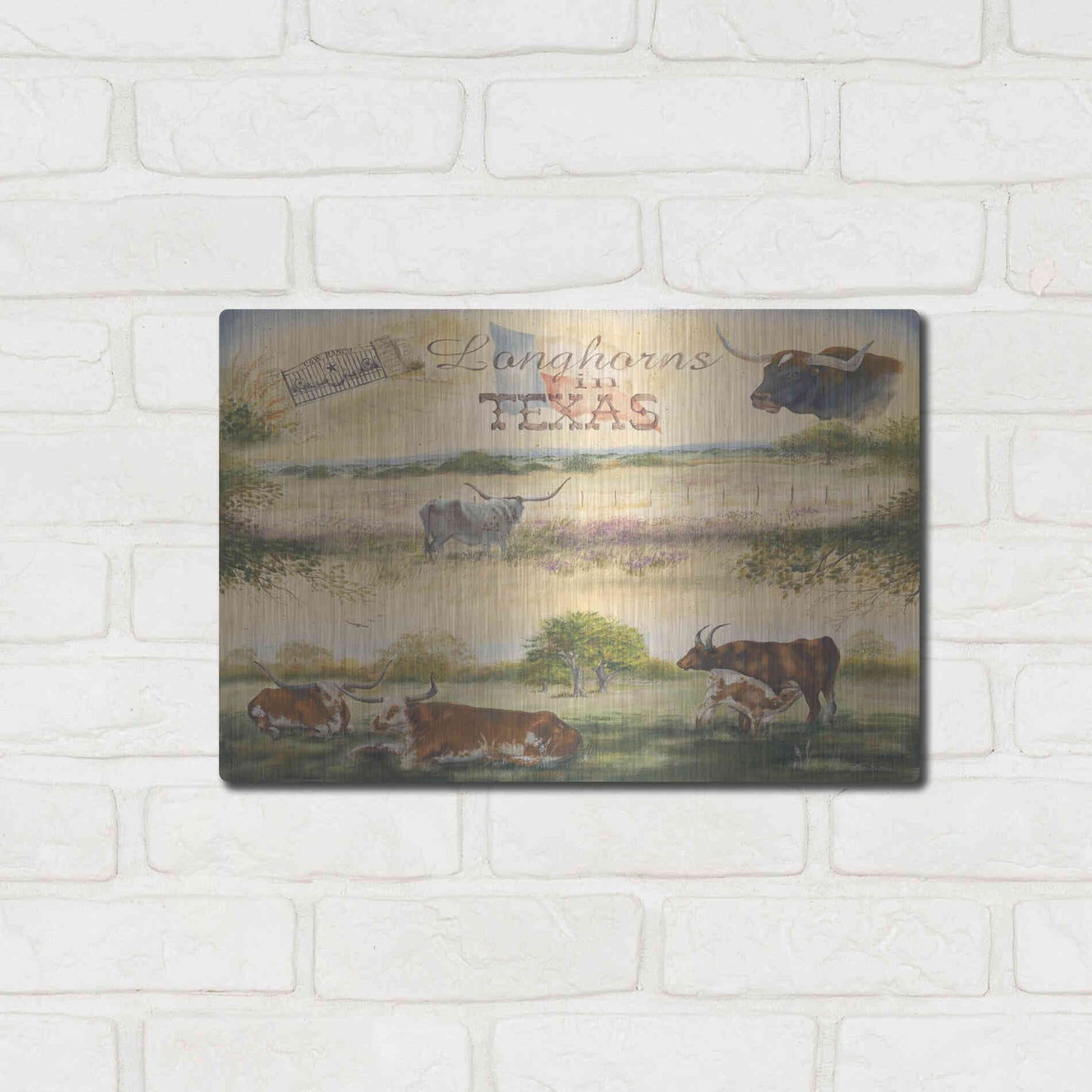 Luxe Metal Art 'Texas Collision V' by Pam Britton, Metal Wall Art,16x12