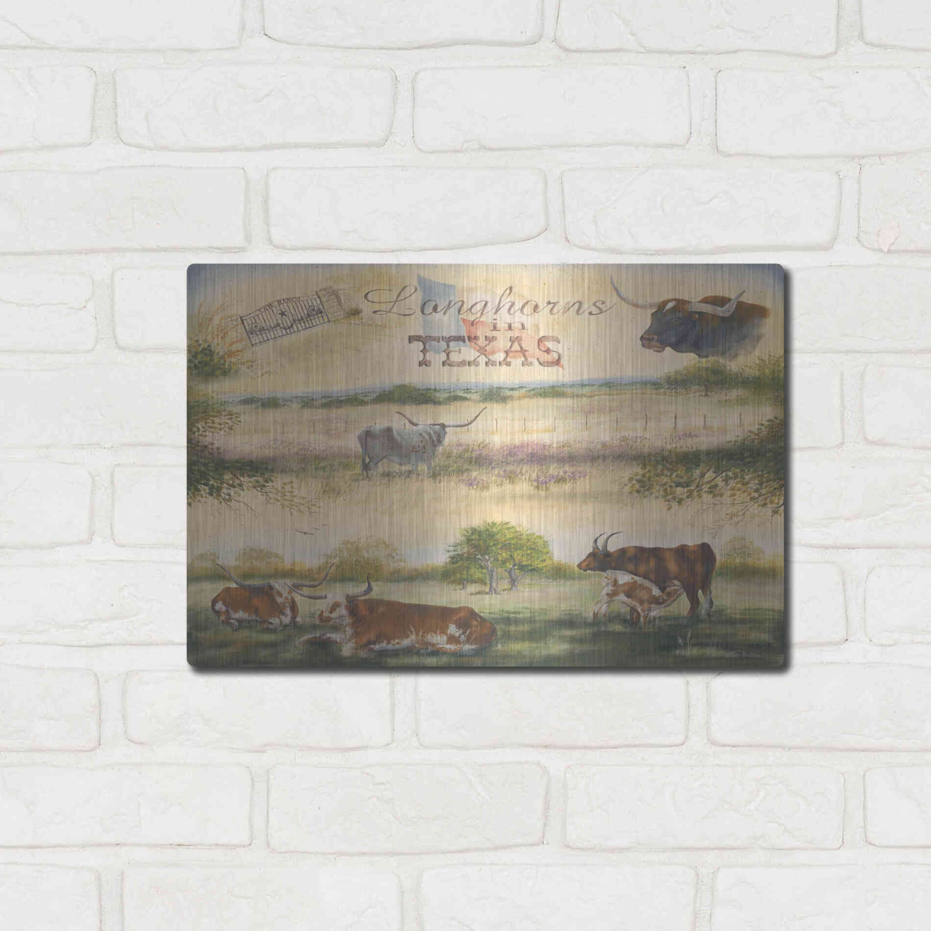 Luxe Metal Art 'Texas Collision V' by Pam Britton, Metal Wall Art,16x12