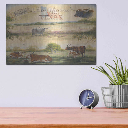 Luxe Metal Art 'Texas Collision V' by Pam Britton, Metal Wall Art,16x12