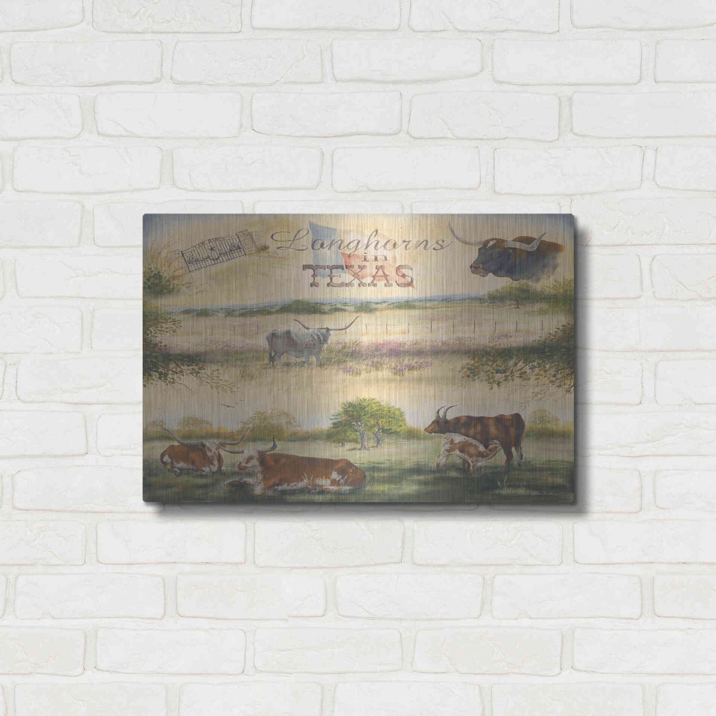 Luxe Metal Art 'Texas Collision V' by Pam Britton, Metal Wall Art,24x16