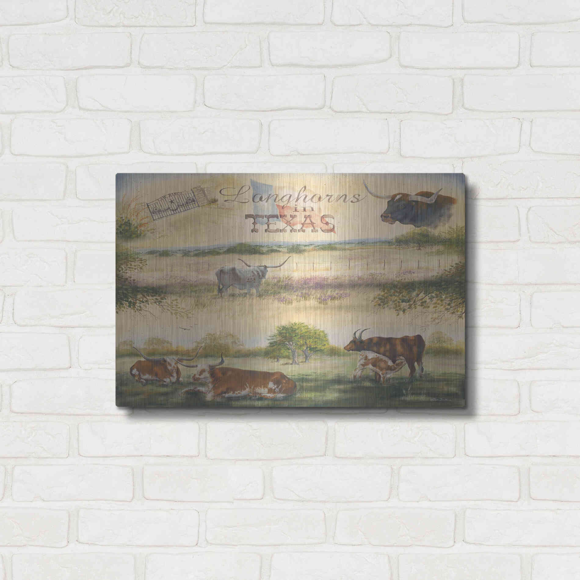 Luxe Metal Art 'Texas Collision V' by Pam Britton, Metal Wall Art,24x16