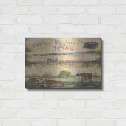 Luxe Metal Art 'Texas Collision V' by Pam Britton, Metal Wall Art,24x16