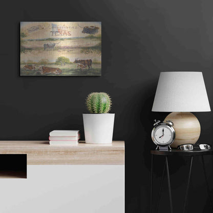Luxe Metal Art 'Texas Collision V' by Pam Britton, Metal Wall Art,24x16