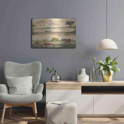 Luxe Metal Art 'Texas Collision V' by Pam Britton, Metal Wall Art,24x16