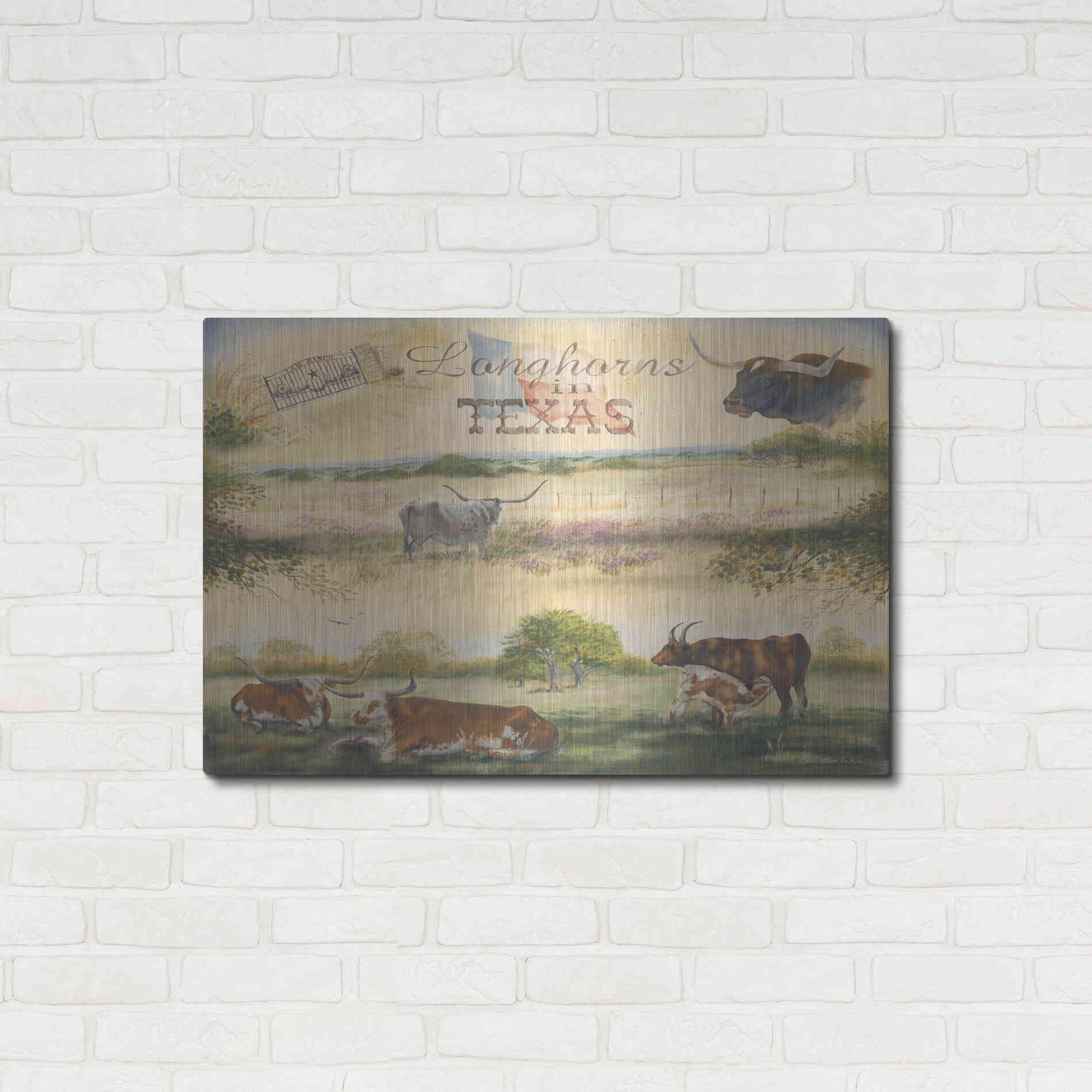 Luxe Metal Art 'Texas Collision V' by Pam Britton, Metal Wall Art,36x24