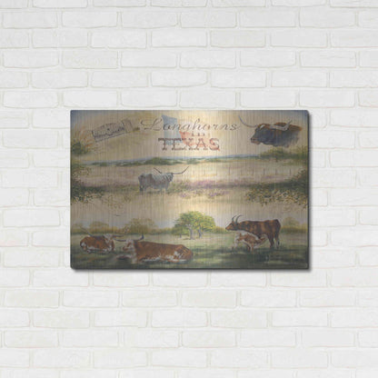 Luxe Metal Art 'Texas Collision V' by Pam Britton, Metal Wall Art,36x24