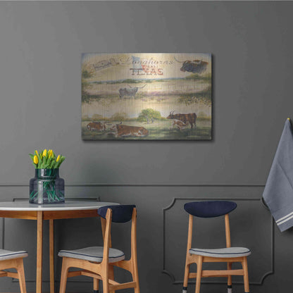 Luxe Metal Art 'Texas Collision V' by Pam Britton, Metal Wall Art,36x24