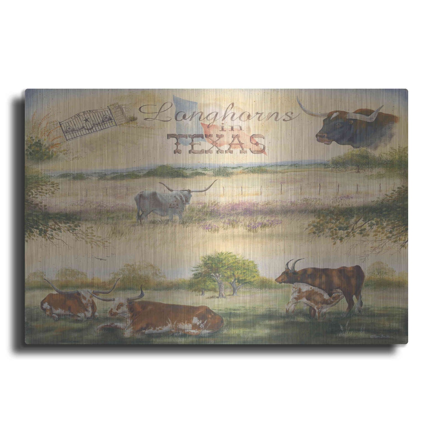 Luxe Metal Art 'Texas Collision V' by Pam Britton, Metal Wall Art