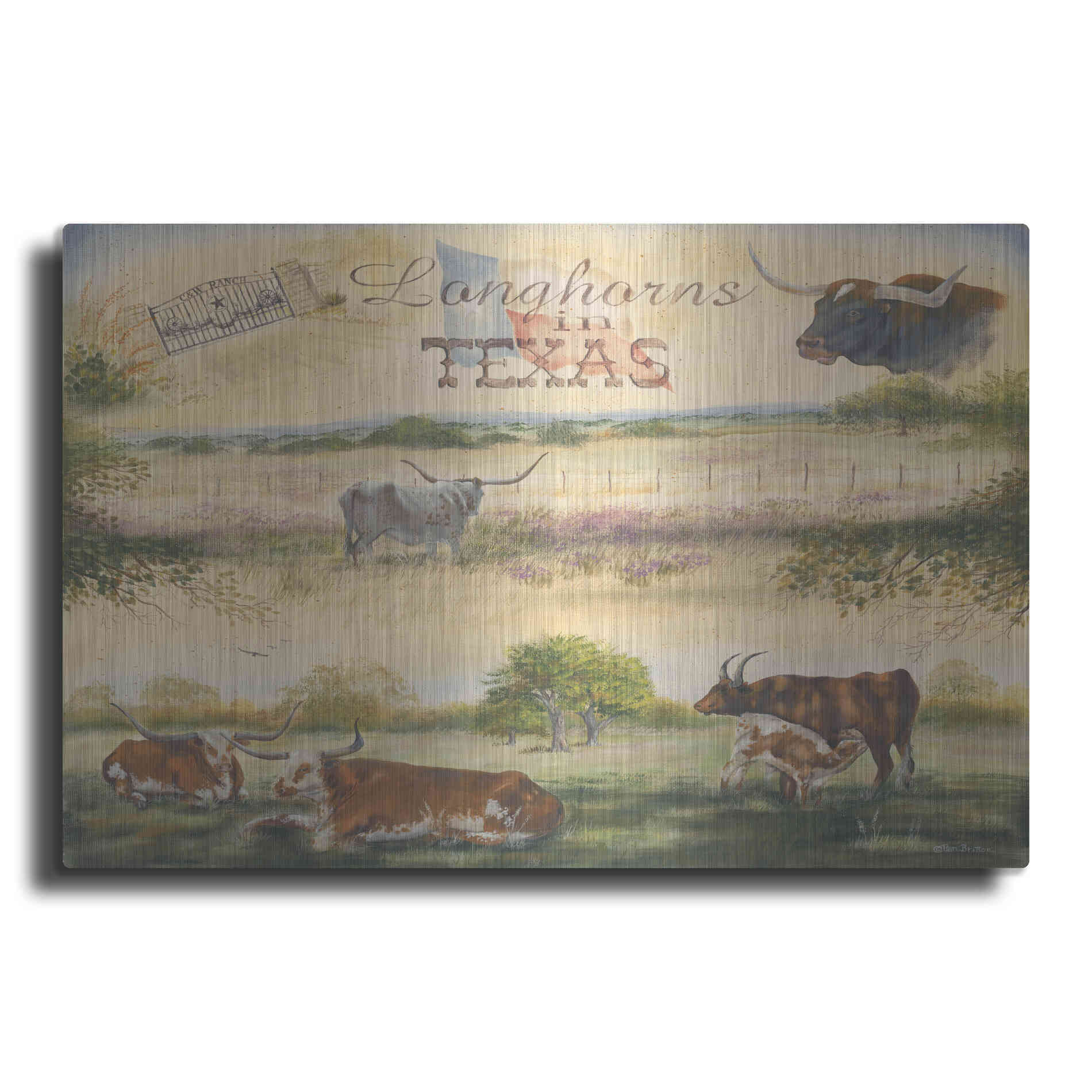 Luxe Metal Art 'Texas Collision V' by Pam Britton, Metal Wall Art