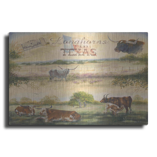 Luxe Metal Art 'Texas Collision V' by Pam Britton, Metal Wall Art