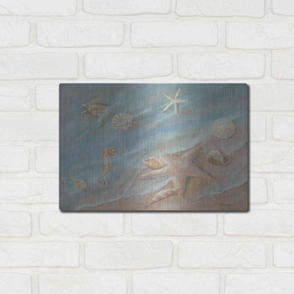 Luxe Metal Art 'Seashore Star I' by Pam Britton, Metal Wall Art,16x12