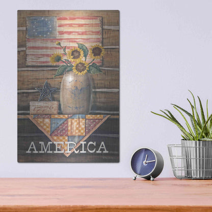 Luxe Metal Art 'Rustic America' by Pam Britton, Metal Wall Art,12x16