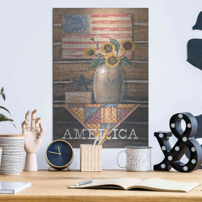 Luxe Metal Art 'Rustic America' by Pam Britton, Metal Wall Art,12x16
