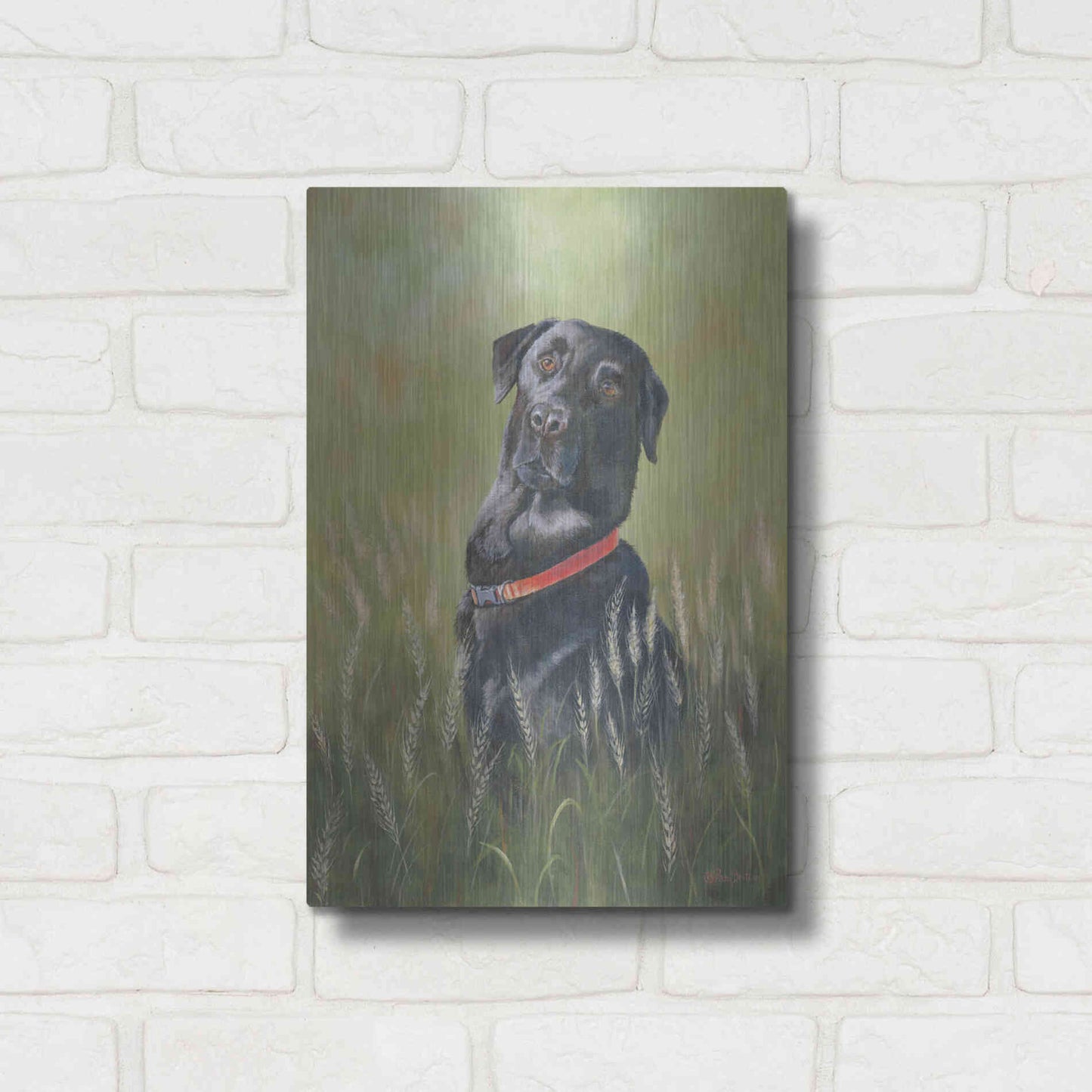 Luxe Metal Art 'Max' by Pam Britton, Metal Wall Art,12x16